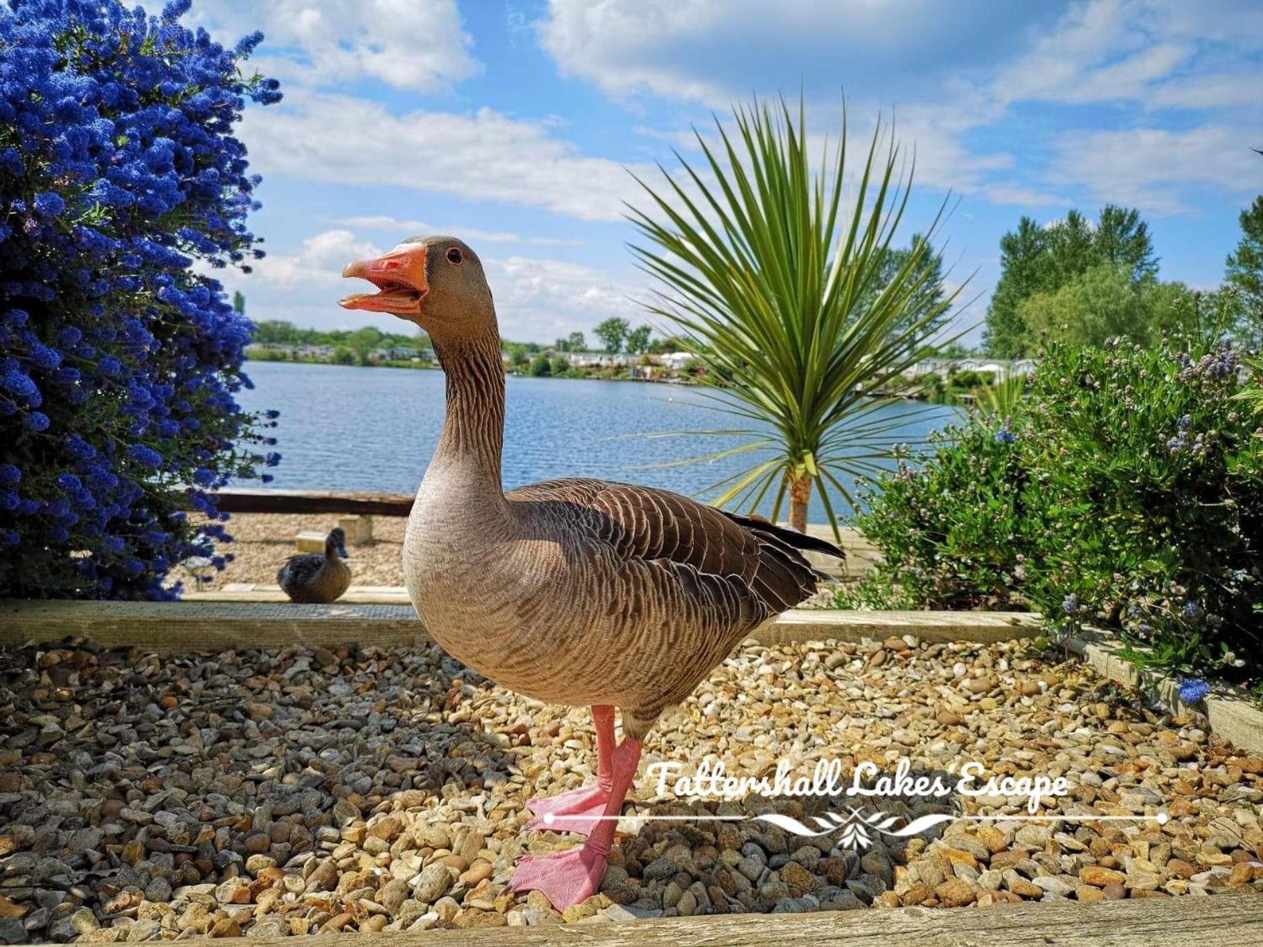 Meridian Tattershall Lakes Escape - Lakeside Lodge Caravan With A Fishing Peg Luxury Hot Tub Luaran gambar